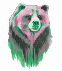 Urs in culori