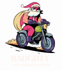 Naughty and I regret nothing - Biker Claus