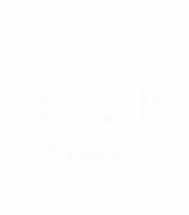 Bitcoin Explosion (alb)