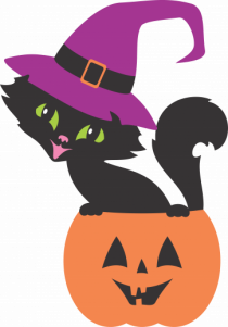 Pisica Neagra Halloween 12