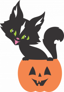 Pisica Neagra Halloween 13
