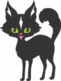Pisica Neagra Halloween 14