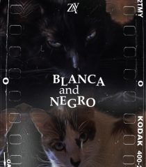 Blanca  and Negro