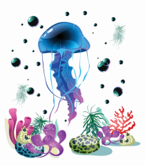 Blue Jellyfish