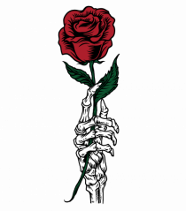 Bones And Roses