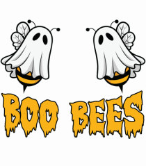 Boo Bees Halloween Bee Couple