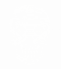 Retro Disco Skull