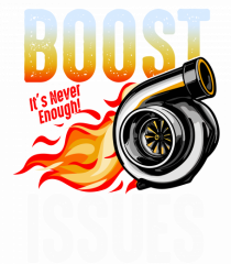 Boost Issues