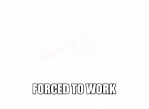 Born To Ski Forced To Work