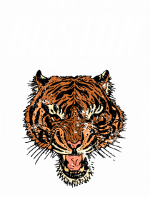 Freedom Boston Tiger