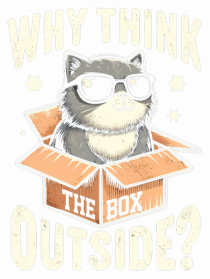Outside the box - pisica cool