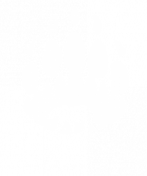 Ursul Brun Regele Pădurii