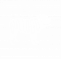 BULLDOG