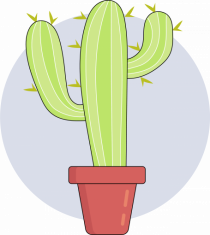 Cactus