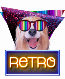 Retro disco dog