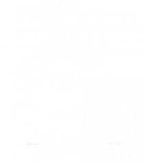 Go Camping