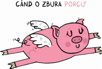 Cand o zbura porcu'