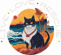 Live Love Rescue Cat 1