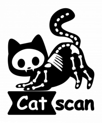 Cat Scan 