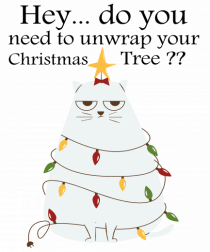 Do you need to unwrap your Christmas Tree?