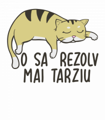 O sa rezolv mai tarziu