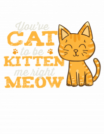 Cat Kitten Meow