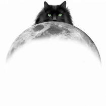 CatSide of the Moon