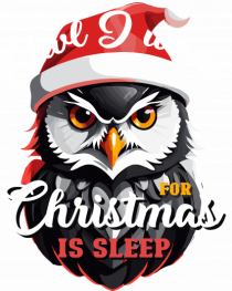 Owl I want for Christmas is sleep