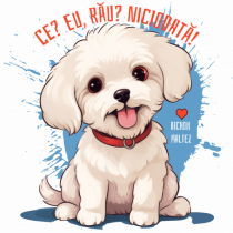 CE? EU, RAU? NICIODATA! - BICHON MALTEZ 2