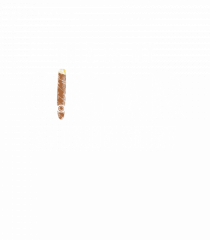 My Cigar smoking shirt.