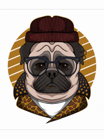 Be Cool Pug