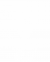 If our dog doesn't like you