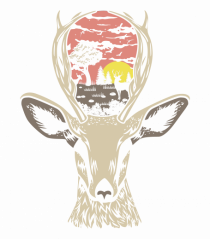 Deer Nature