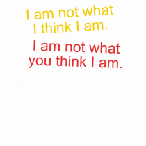 I am not what I think I am