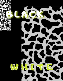BLACK & WHITE PRINT