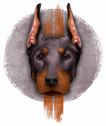 Doberman