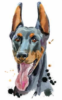 Doberman Painting