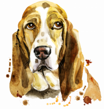 Droopy Painting