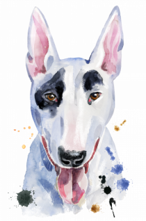 Bullterrier Painting