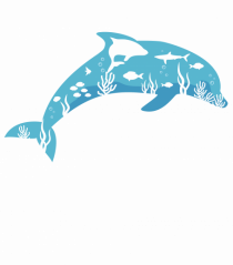  Blue Dolphin