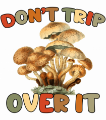 Don't Trip Over It