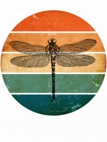 Retro Dragonfly