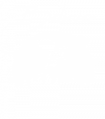 Dragons Believer