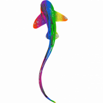 RGB Shark