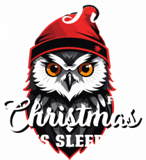 Owl I want for Christmas is sleep