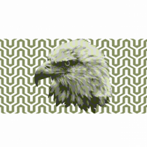 Pattern with Eagle