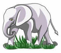 Elefant in iarba