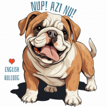 NUP! AZI NU! - BULLDOG ENGLEZ