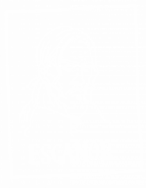 Seven Deadly Sins - Escanor (white edition) 