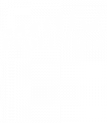 Football evolution